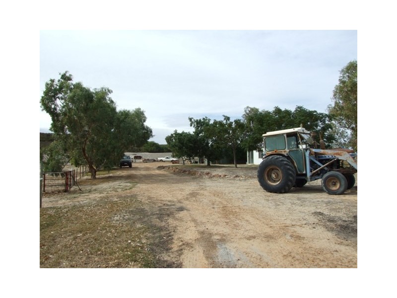 168 Bunter Way, Howatharra WA 6532