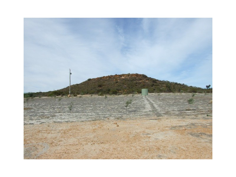 168 Bunter Way, Howatharra WA 6532