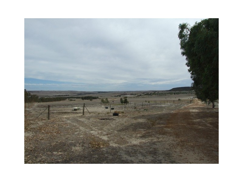 168 Bunter Way, Howatharra WA 6532