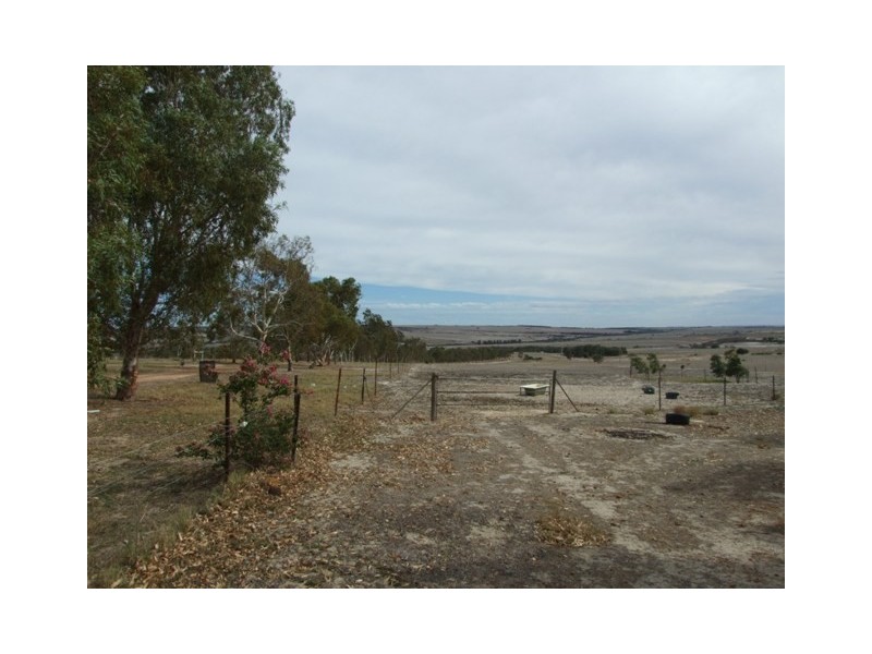 168 Bunter Way, Howatharra WA 6532