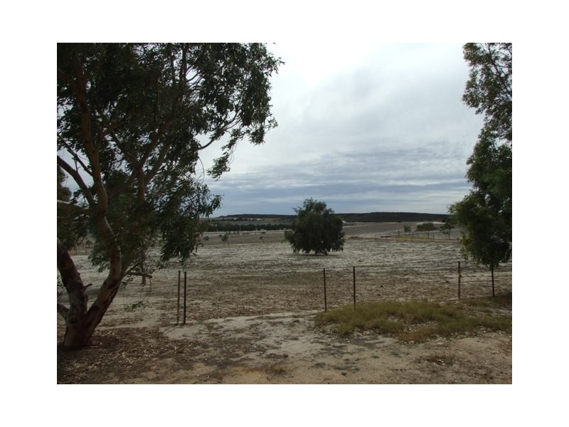 168 Bunter Way, Howatharra WA 6532