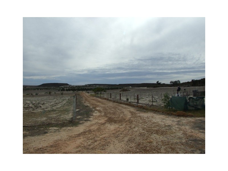 168 Bunter Way, Howatharra WA 6532