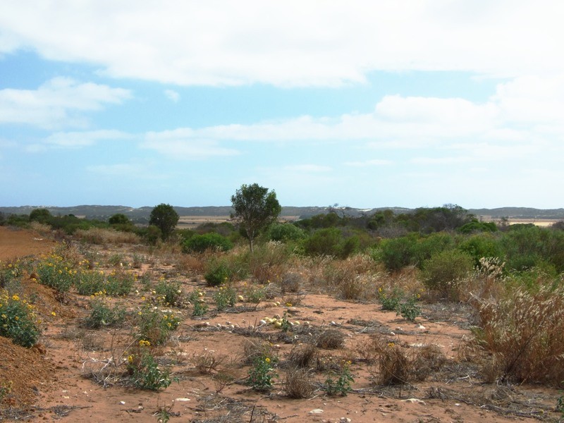 383 McCartney Road, Greenough WA 6532