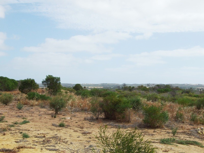 383 McCartney Road, Greenough WA 6532