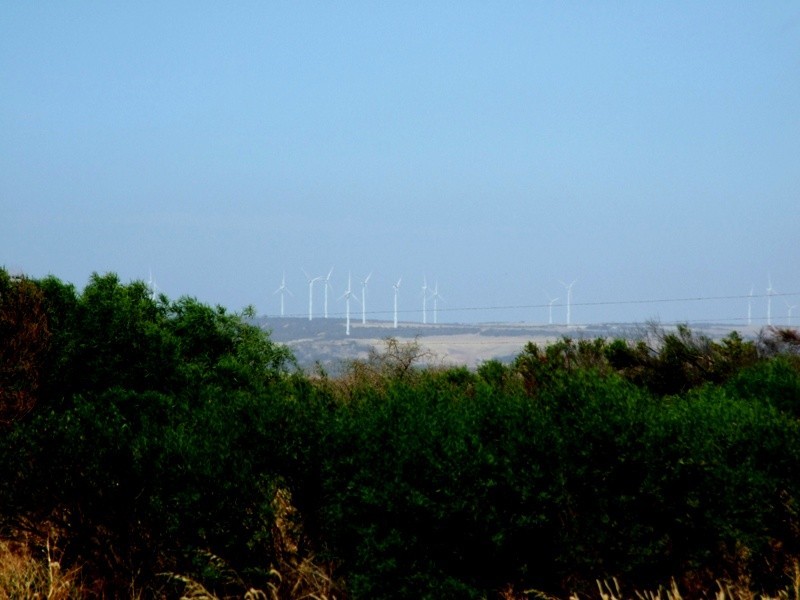 383 McCartney Road, Greenough WA 6532