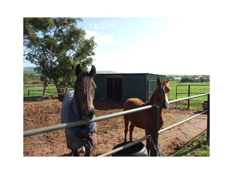 214 Giles Road, Moonyoonooka WA 6532