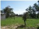 123 HALL ROAD, Waggrakine WA 6530