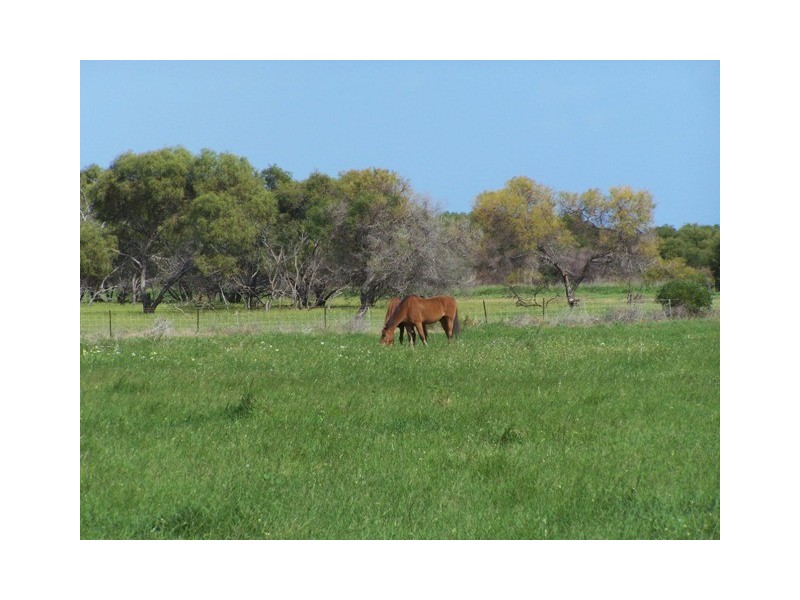 123 HALL ROAD, Waggrakine WA 6530