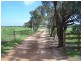 123 HALL ROAD, Waggrakine WA 6530