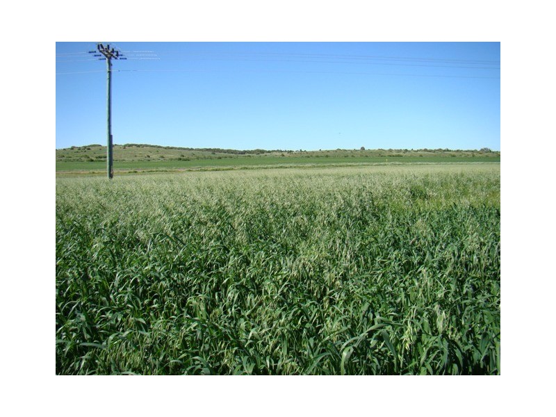 110 Duncan Road, South Greenough WA 6528