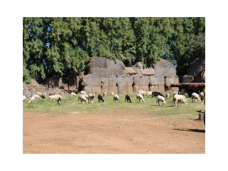 110 Duncan Road, South Greenough WA 6528