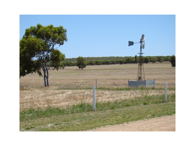 337 Allanooka Springs Road, Walkaway WA 6528