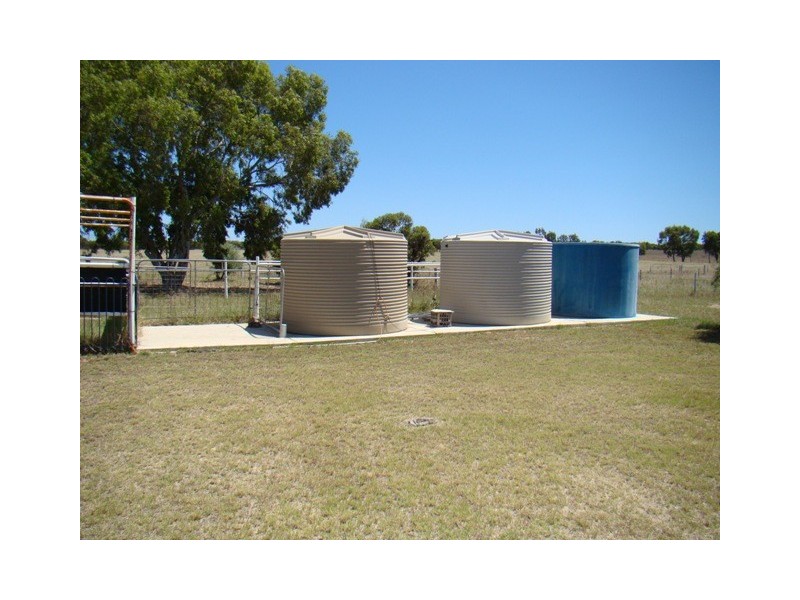 337 Allanooka Springs Road, Walkaway WA 6528