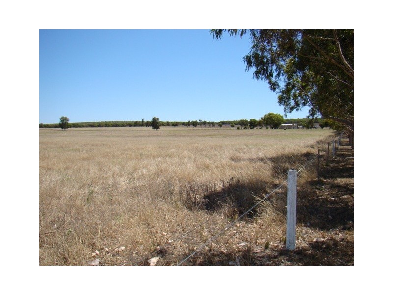 337 Allanooka Springs Road, Walkaway WA 6528