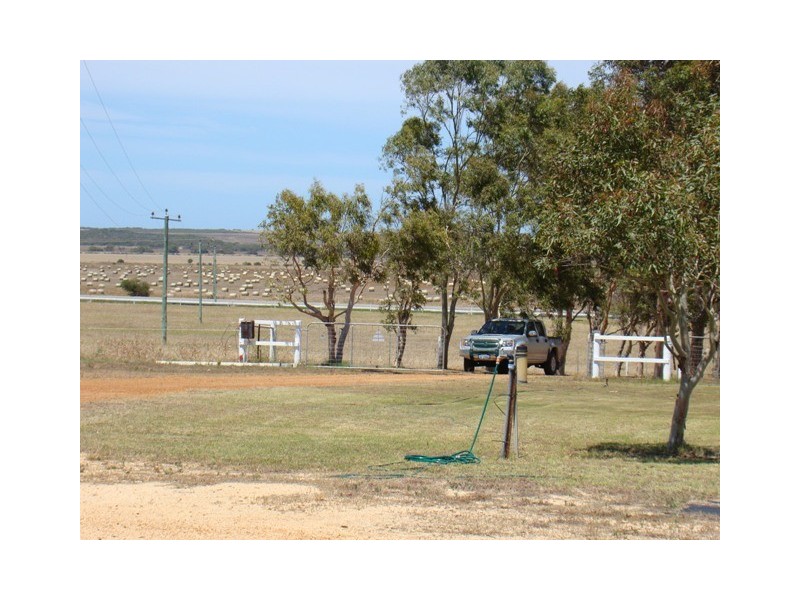 337 Allanooka Springs Road, Walkaway WA 6528