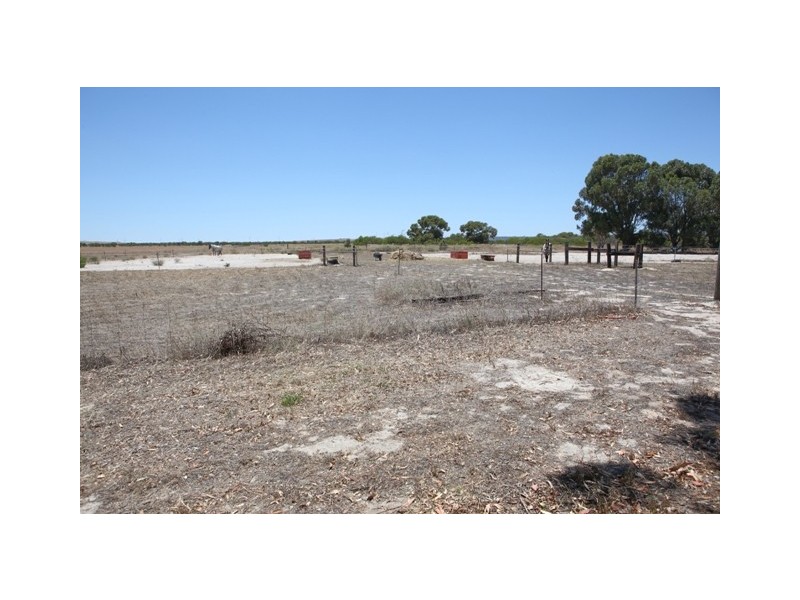 665 ALLANOOKA SPRINGS ROAD, Walkaway WA 6528