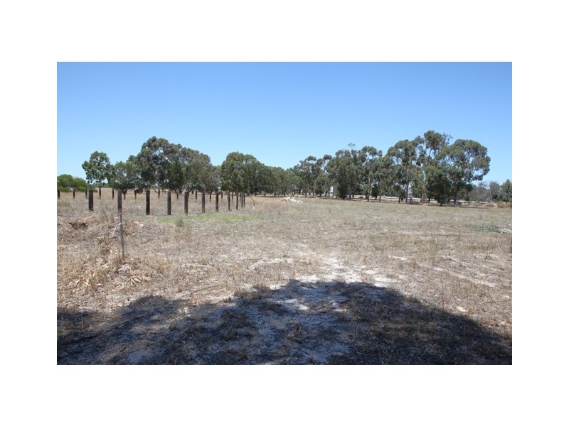 665 ALLANOOKA SPRINGS ROAD, Walkaway WA 6528