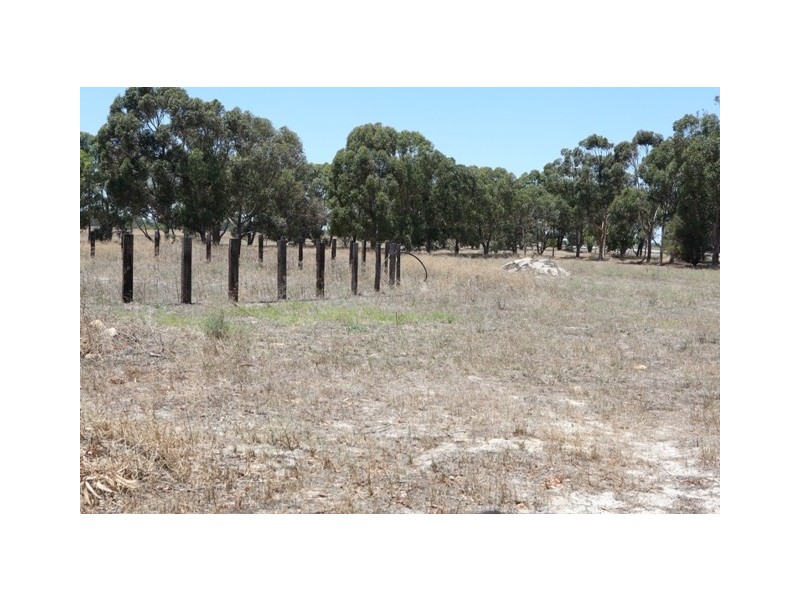 665 ALLANOOKA SPRINGS ROAD, Walkaway WA 6528