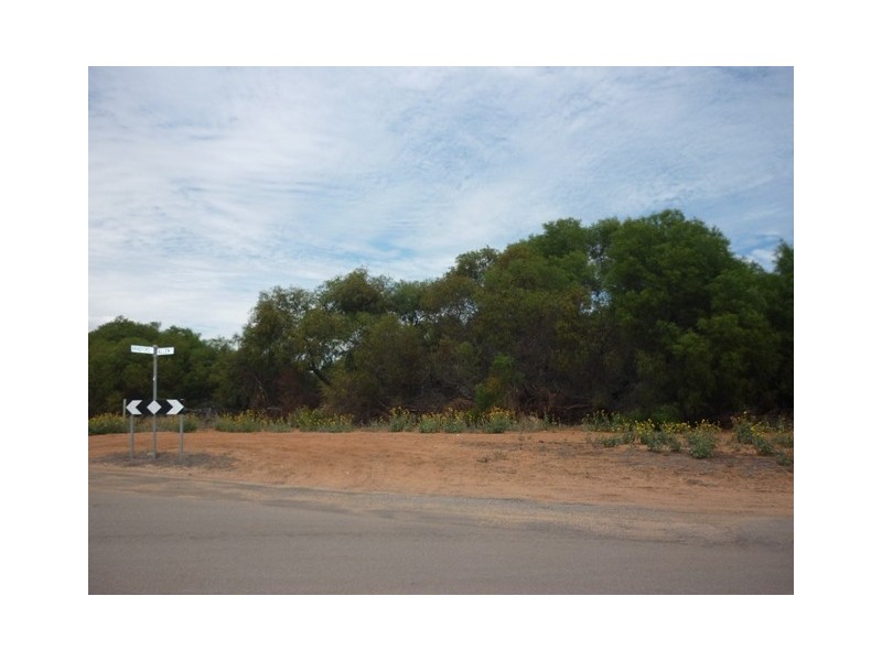 32 Allen Street, Wonthella WA 6530