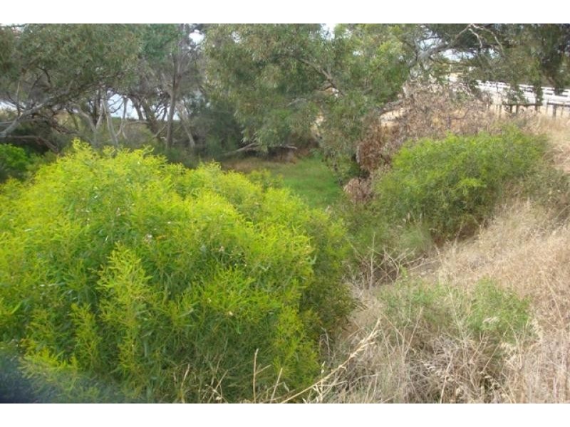 501 Chapman Road, Bluff Point WA 6530