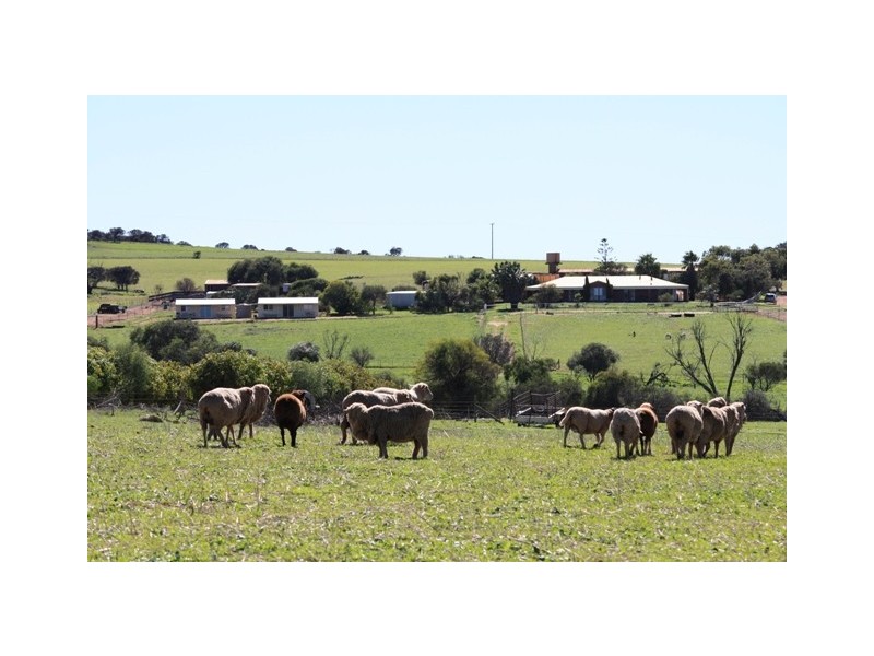 3 Isachar Road, Bowes WA 6535