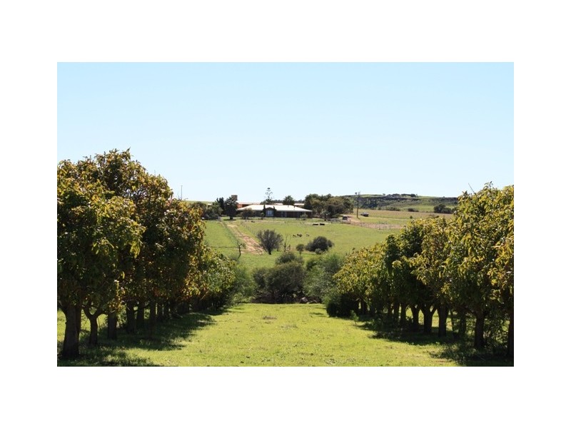 3 Isachar Road, Bowes WA 6535