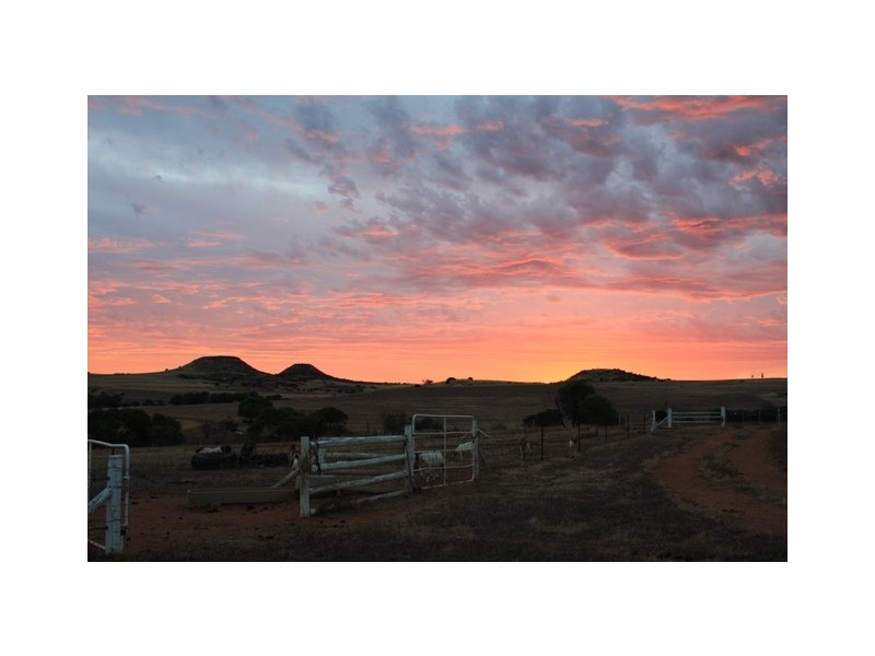 3 Isachar Road, Bowes WA 6535