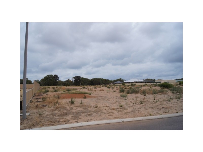 14 Cardwell Gardens, Dongara WA 6525