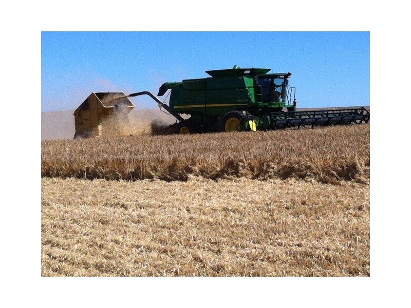 2677 Allanooka Springs Road, Allanooka WA 6525