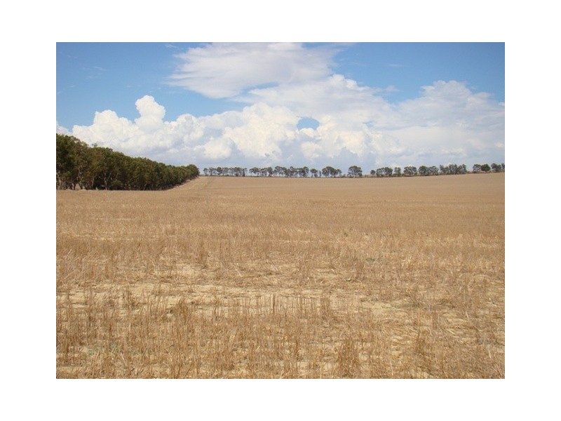 2677 Allanooka Springs Road, Allanooka WA 6525