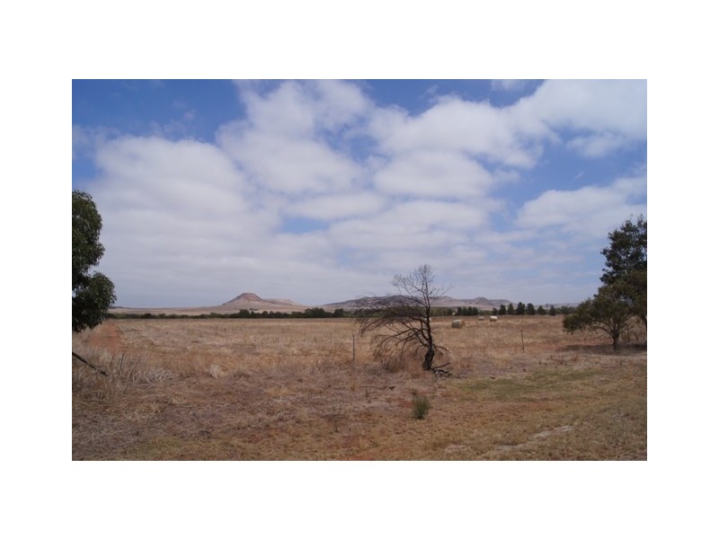 13 Hill River Way, Moonyoonooka WA 6532