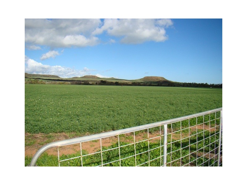 61 EASTOUGH-YETNA ROAD, Yetna WA 6532