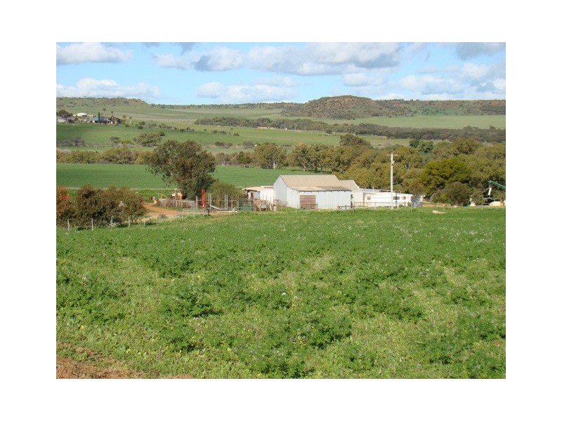 61 EASTOUGH-YETNA ROAD, Yetna WA 6532