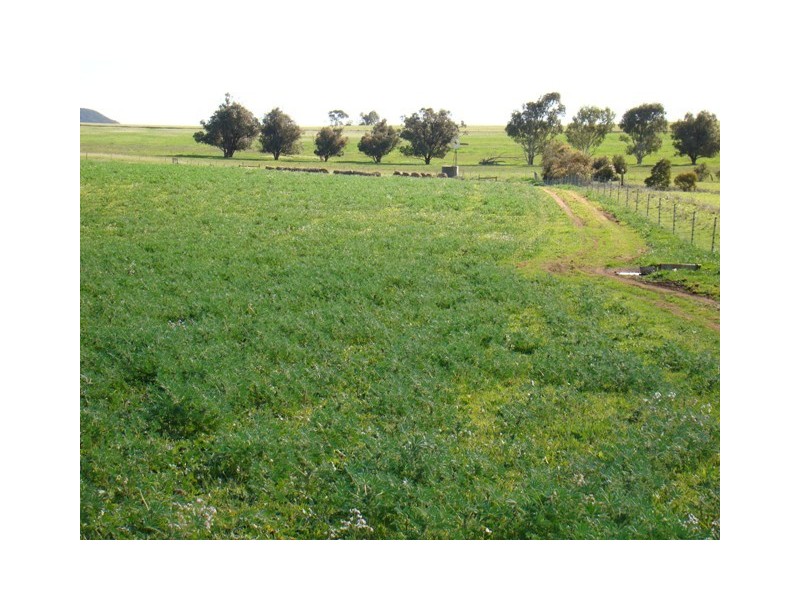 61 EASTOUGH-YETNA ROAD, Yetna WA 6532