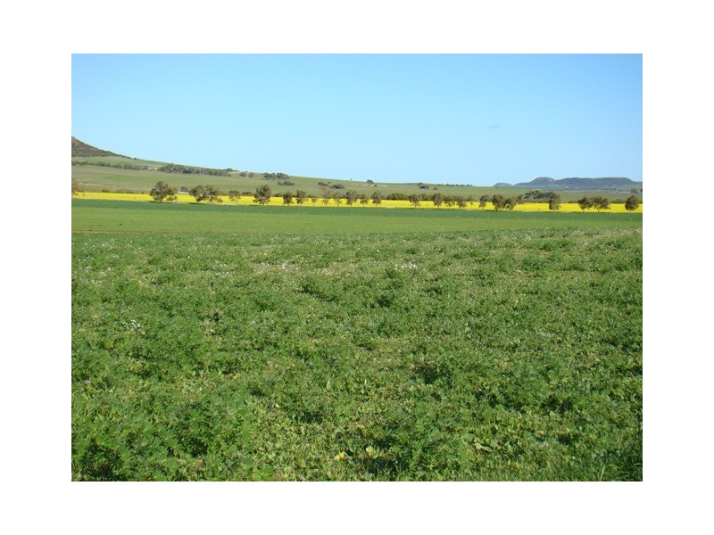 61 EASTOUGH-YETNA ROAD, Yetna WA 6532