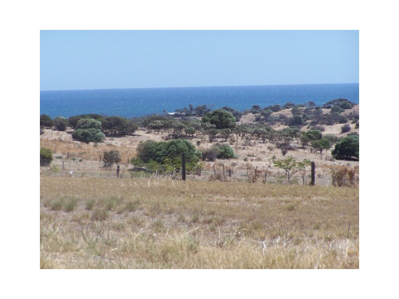 81 Eliza Shaw Drive, White Peak WA 6532