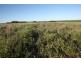 Lot 601 BRIDGID ROAD, Bootenal WA 6532