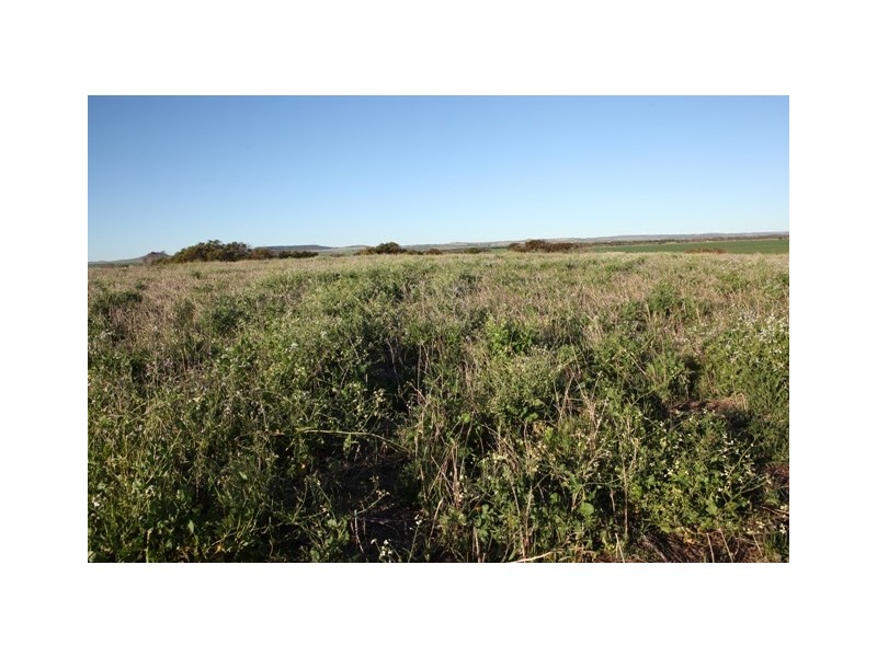 Lot 601 BRIDGID ROAD, Bootenal WA 6532