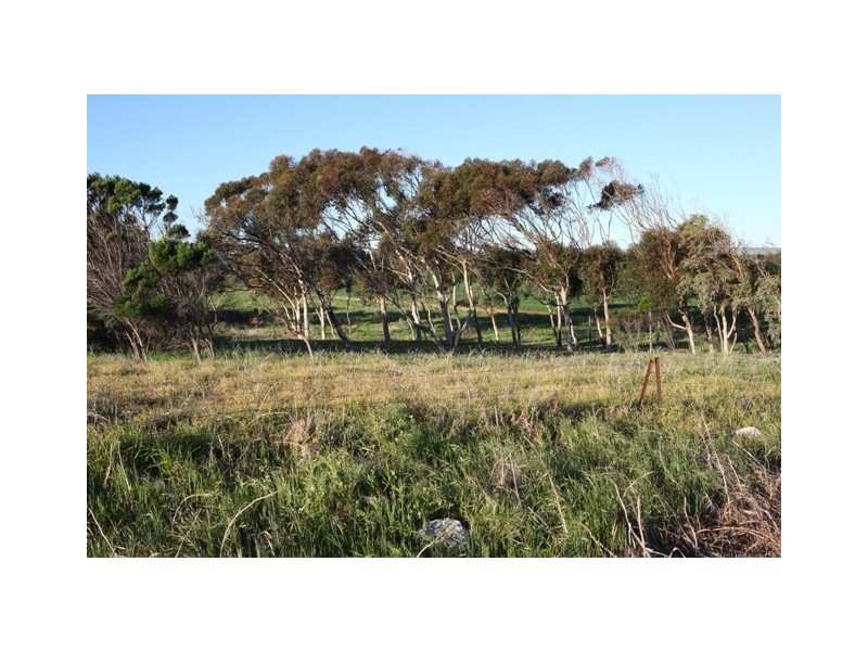 Lot 601 BRIDGID ROAD, Bootenal WA 6532