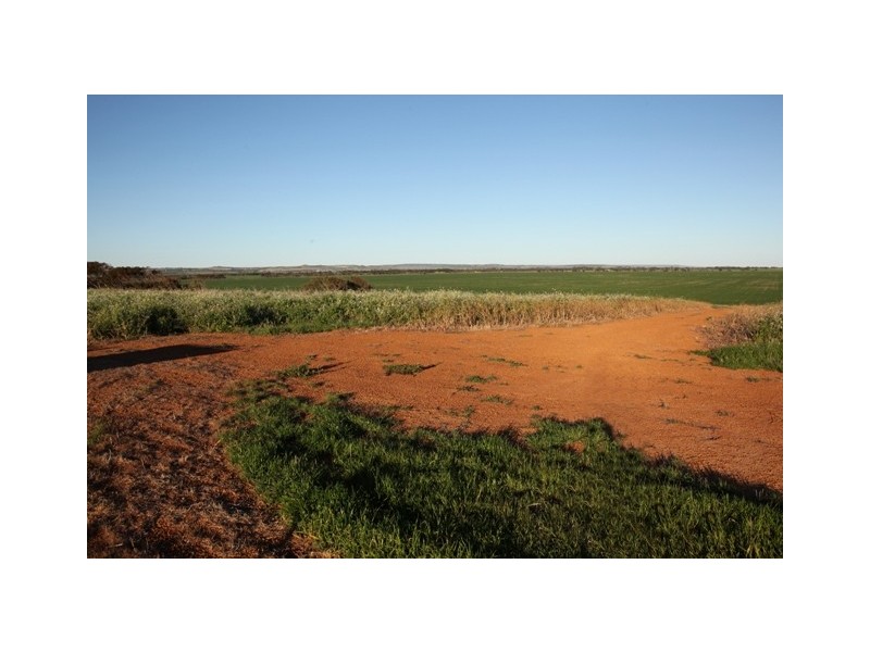 Lot 601 BRIDGID ROAD, Bootenal WA 6532