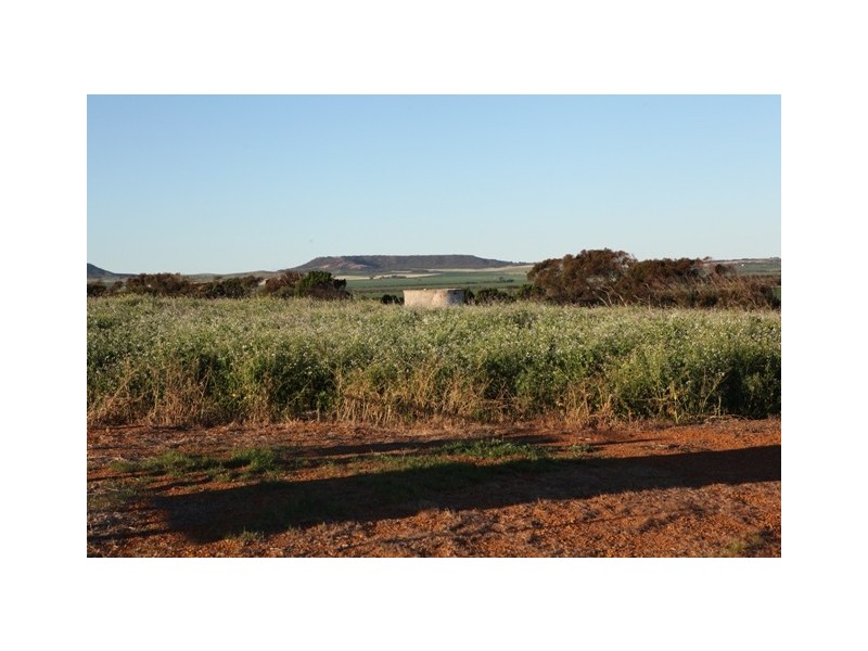 Lot 601 BRIDGID ROAD, Bootenal WA 6532
