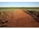 Lot 601 BRIDGID ROAD, Bootenal WA 6532