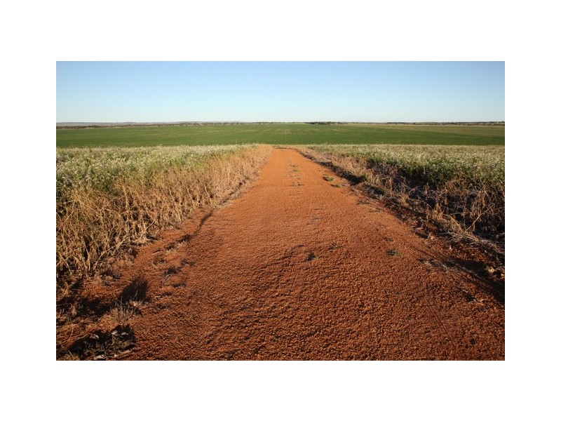 Lot 601 BRIDGID ROAD, Bootenal WA 6532