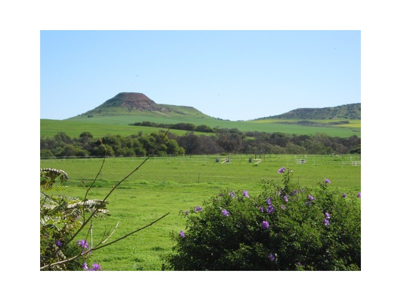 5 Hill River Way, Moonyoonooka WA 6532