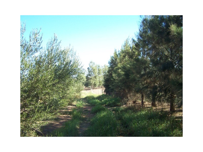 5 Hill River Way, Moonyoonooka WA 6532