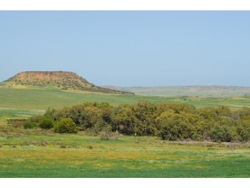Lot 108 Chapman Valley Road, Narra Tarra WA 6532