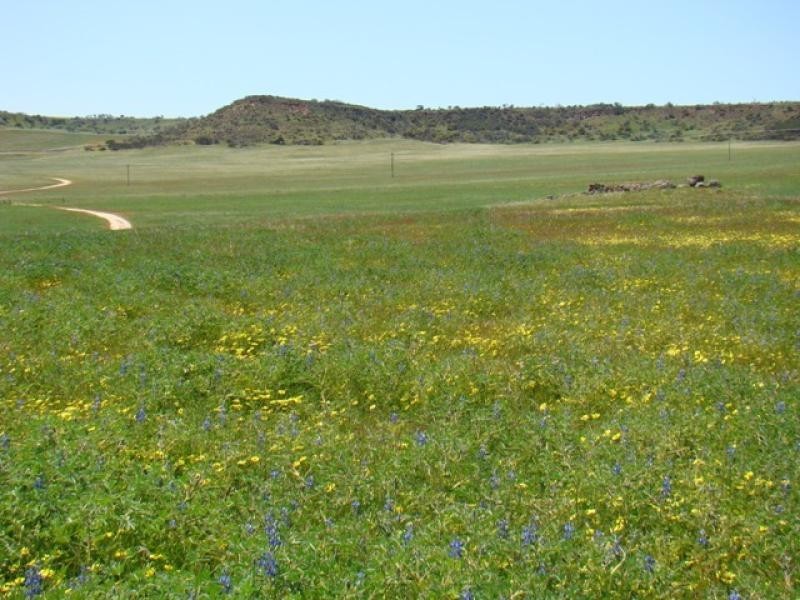 Lot 108 Chapman Valley Road, Narra Tarra WA 6532