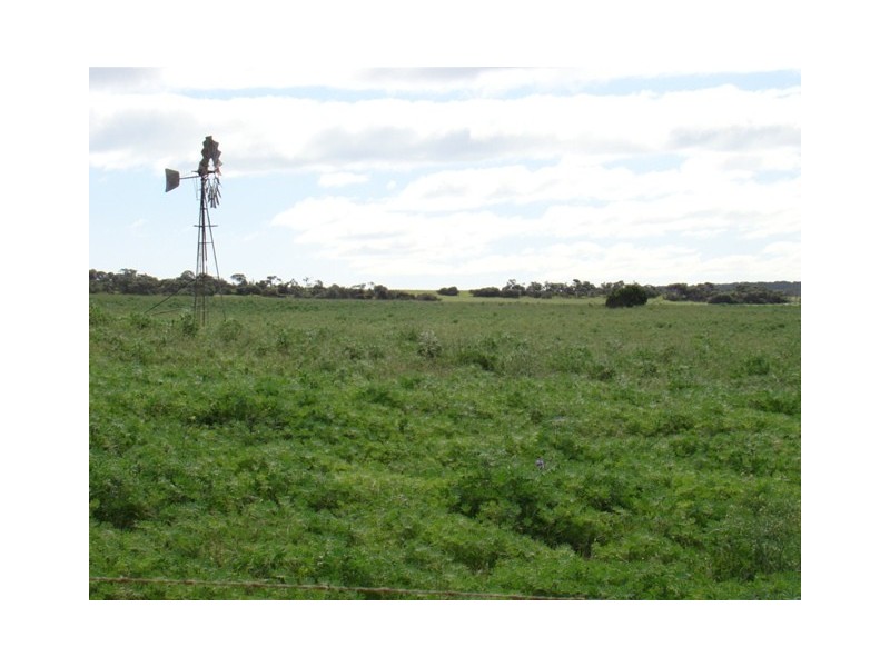 Lot 128/ Wye Farm Road, Yardarino WA 6525