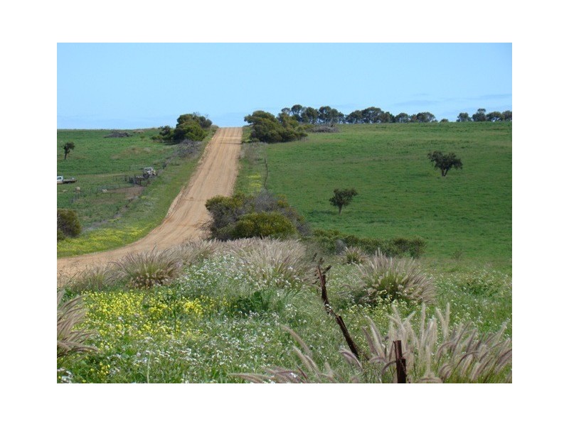 Lot 128/ Wye Farm Road, Yardarino WA 6525