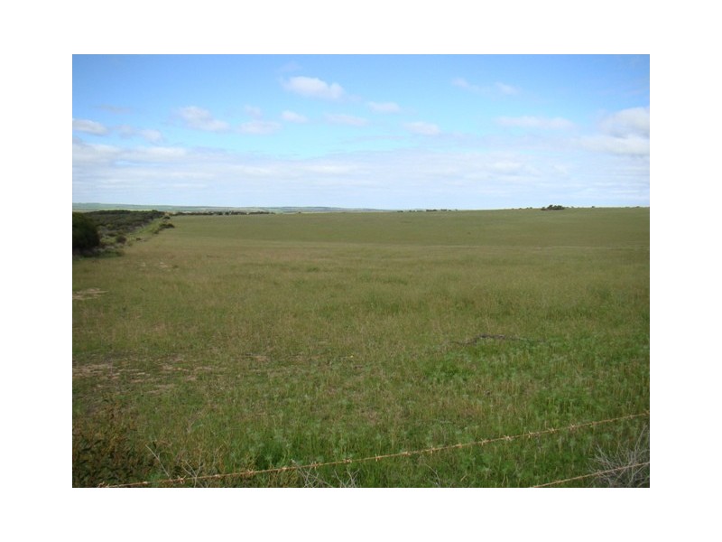 Lot 128/ Wye Farm Road, Yardarino WA 6525